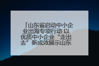 山东省启动中小企业出海专项行动 以优质中小企业“走出去”新成效展示山东产业发展新形象