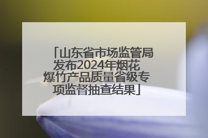山东省市场监管局发布2024年烟花爆竹产品质量省级专项监督抽查结果