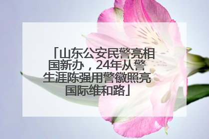 山东公安民警亮相国新办，24年从警生涯陈强用警徽照亮国际维和路