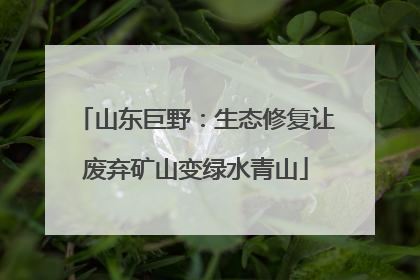 山东巨野：生态修复让废弃矿山变绿水青山