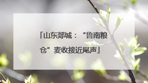 山东郯城：“鲁南粮仓”麦收接近尾声