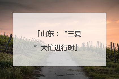 山东：“三夏”大忙进行时
