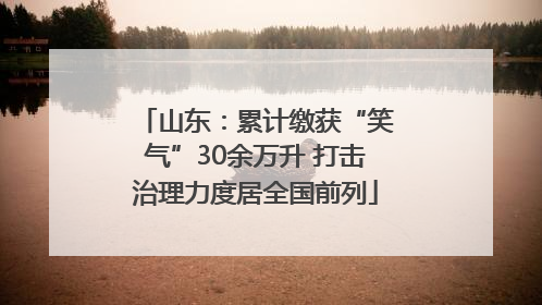 山东：累计缴获“笑气”30余万升 打击治理力度居全国前列