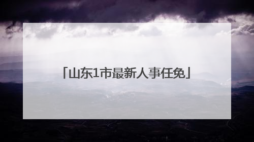 山东1市最新人事任免
