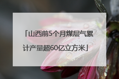山西前5个月煤层气累计产量超60亿立方米