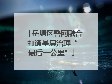 岳塘区警网融合 打通基层治理“最后一公里”