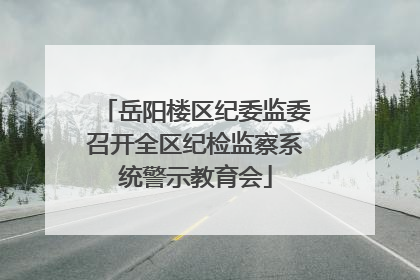 岳阳楼区纪委监委召开全区纪检监察系统警示教育会