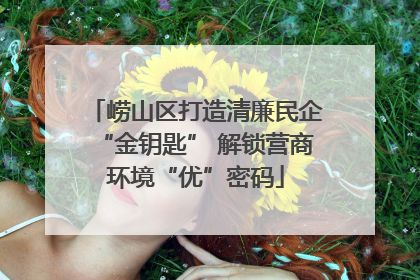 崂山区打造清廉民企“金钥匙” 解锁营商环境“优”密码