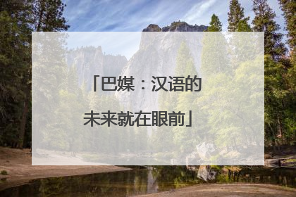 巴媒：汉语的未来就在眼前