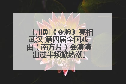 川剧《变脸》亮相武汉 第四届全国戏曲（南方片）会演演出过半频掀热潮