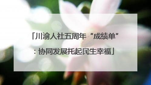 川渝人社五周年“成绩单”：协同发展托起民生幸福