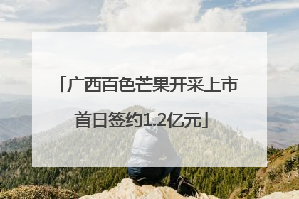 广西百色芒果开采上市 首日签约1.2亿元