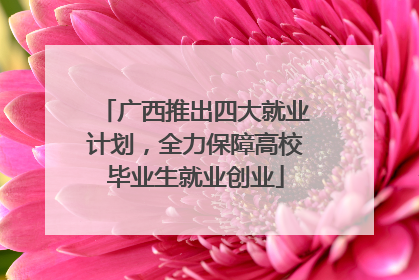 广西推出四大就业计划，全力保障高校毕业生就业创业