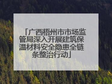广西梧州市市场监管局深入开展建筑保温材料安全隐患全链条整治行动