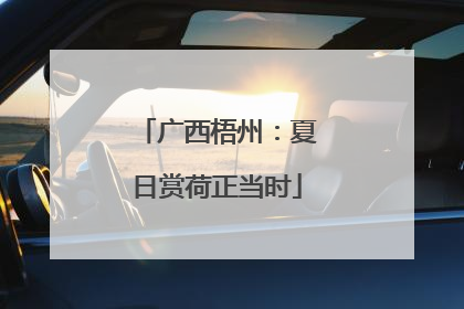广西梧州：夏日赏荷正当时
