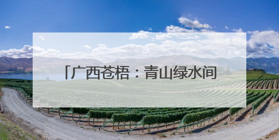 广西苍梧：青山绿水间绘就和美乡村新画卷