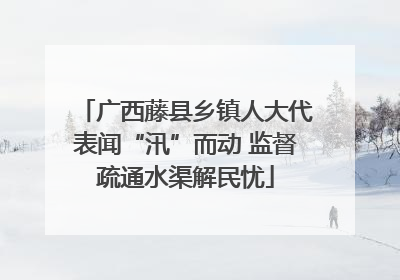 广西藤县乡镇人大代表闻“汛”而动 监督疏通水渠解民忧