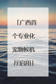 广西首个专业化宠物候机厅启用