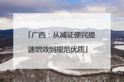 广西：从减证便民提速增效到规范优质