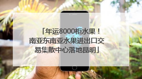 年运8000柜水果！南亚东南亚水果进出口交易集散中心落地昆明