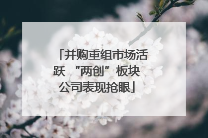 并购重组市场活跃 “两创”板块公司表现抢眼