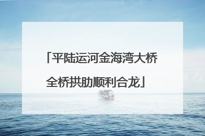 平陆运河金海湾大桥全桥拱肋顺利合龙