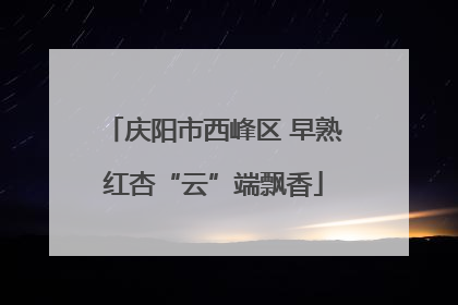 庆阳市西峰区 早熟红杏“云”端飘香