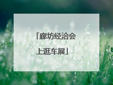 廊坊经洽会上逛车展