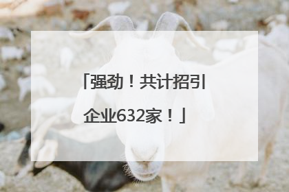 强劲！共计招引企业632家！