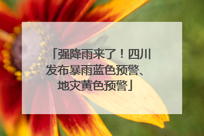 强降雨来了！四川发布暴雨蓝色预警、地灾黄色预警