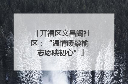 开福区文昌阁社区：“温情暖桑榆 志愿映初心”