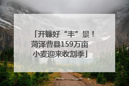 开镰好“丰”景！菏泽曹县159万亩小麦迎来收割季
