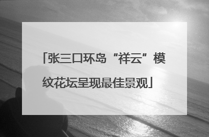 张三口环岛“祥云”模纹花坛呈现最佳景观