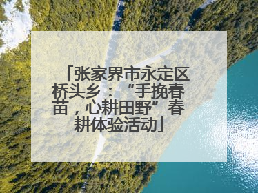 张家界市永定区桥头乡：“手挽春苗，心耕田野”春耕体验活动