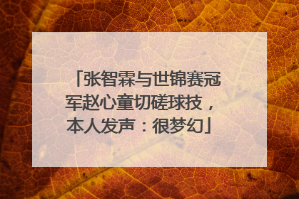 张智霖与世锦赛冠军赵心童切磋球技，本人发声：很梦幻