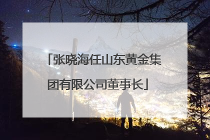 张晓海任山东黄金集团有限公司董事长