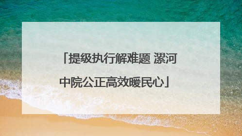 提级执行解难题 漯河中院公正高效暖民心