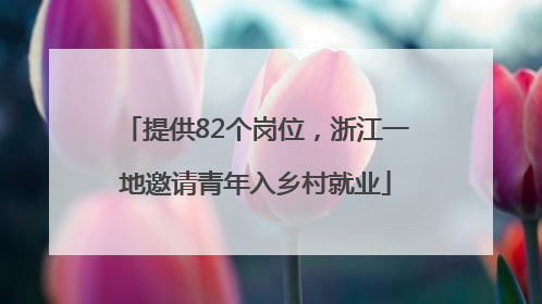 提供82个岗位，浙江一地邀请青年入乡村就业