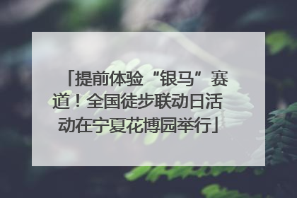 提前体验“银马”赛道！全国徒步联动日活动在宁夏花博园举行