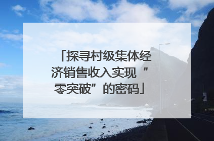 探寻村级集体经济销售收入实现“零突破”的密码