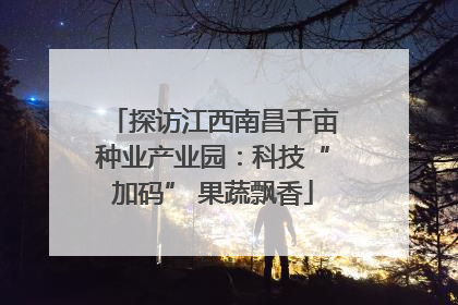 探访江西南昌千亩种业产业园：科技“加码” 果蔬飘香