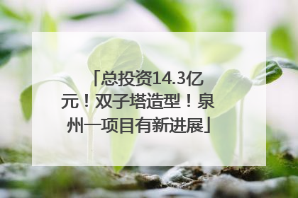 总投资14.3亿元！双子塔造型！泉州一项目有新进展