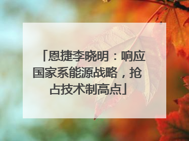 恩捷李晓明：响应国家系能源战略，抢占技术制高点