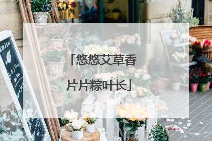 悠悠艾草香 片片粽叶长