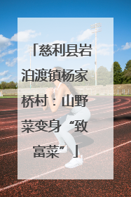 慈利县岩泊渡镇杨家桥村：山野菜变身“致富菜”