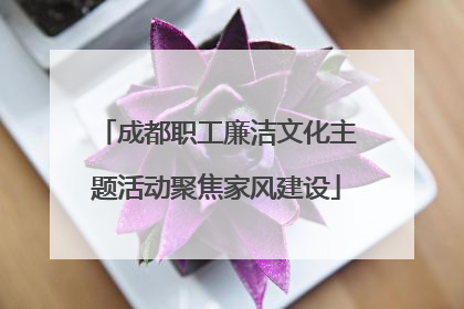 成都职工廉洁文化主题活动聚焦家风建设