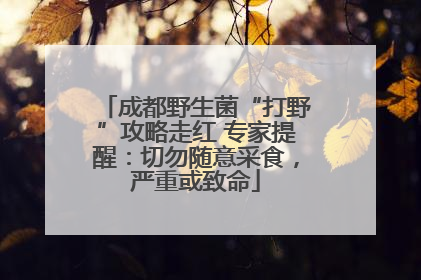 成都野生菌“打野”攻略走红 专家提醒：切勿随意采食，严重或致命