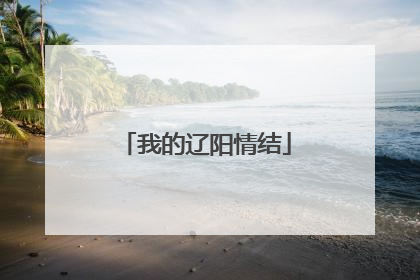 我的辽阳情结