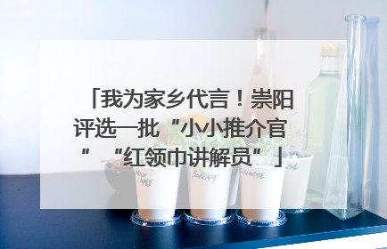 我为家乡代言！崇阳评选一批“小小推介官”“红领巾讲解员”