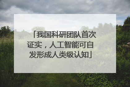 我国科研团队首次证实，人工智能可自发形成人类级认知
